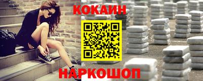 гашик Кингисепп